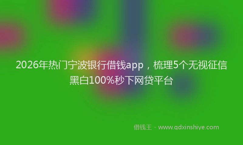 2026年热门宁波银行借钱app,梳理5个无视征信黑白100%秒下网贷平台