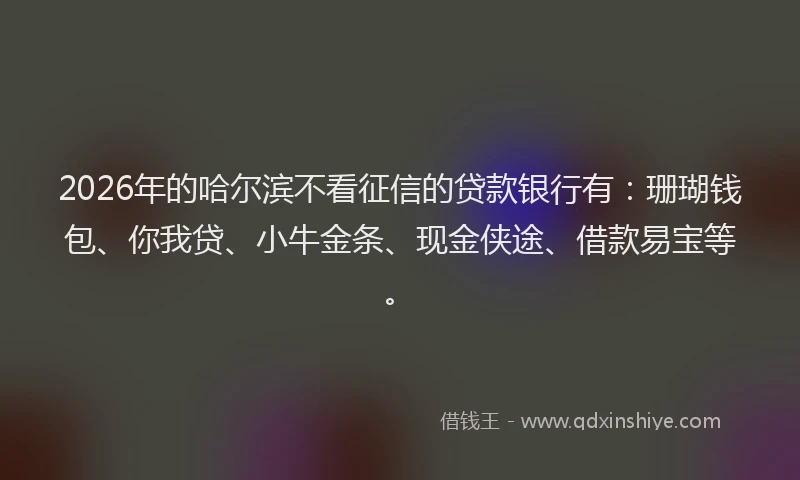 2026年的哈尔滨不看征信的贷款银行有：珊瑚钱包、你我贷、小牛金条、现金侠途、借款易宝等。