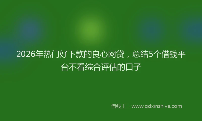 2026年热门好下款的良心网贷，总结5个借钱平台不看综合评估的口子
