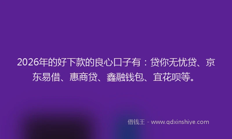 2026年的好下款的良心口子有：贷你无忧贷、京东易借、惠商贷、鑫融钱包、宜花呗等。