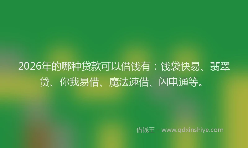 2026年的哪种贷款可以借钱有：钱袋快易、翡翠贷、你我易借、魔法速借、闪电通等。