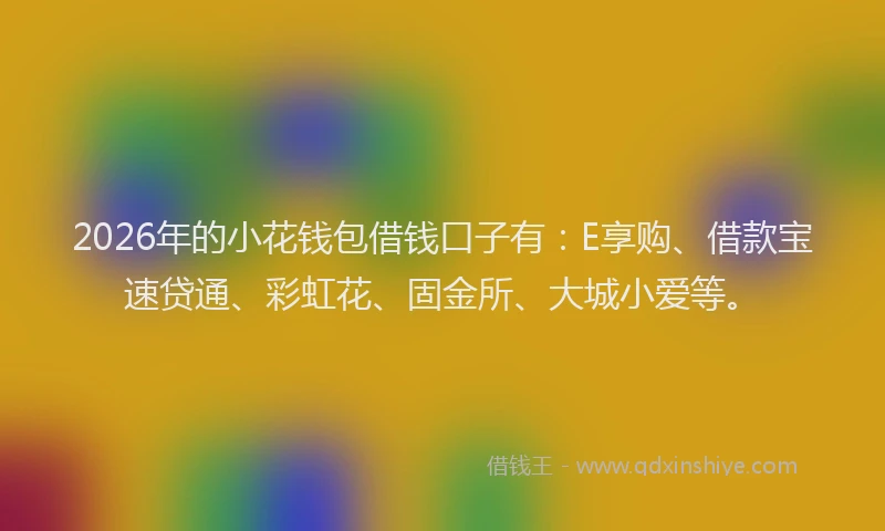 2026年的小花钱包借钱口子有：E享购、借款宝速贷通、彩虹花、固金所、大城小爱等。