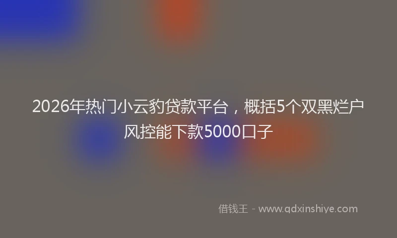 2026年热门小云豹贷款平台，概括5个双黑烂户风控能下款5000口子