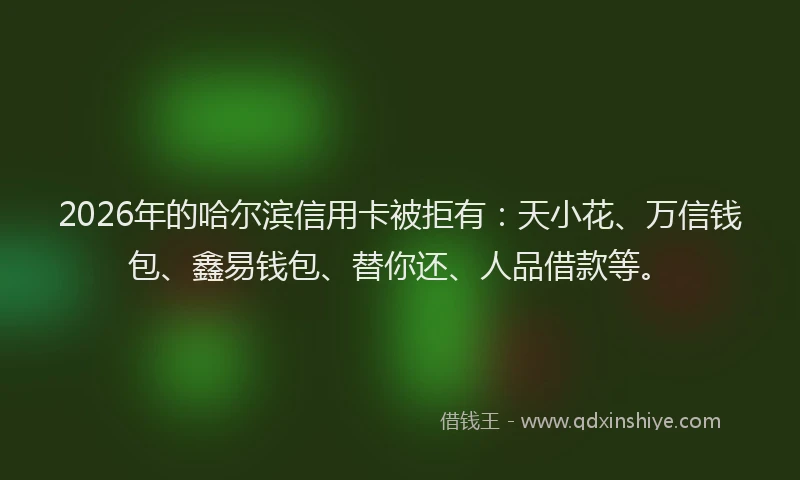 2026年的哈尔滨信用卡被拒有：天小花、万信钱包、鑫易钱包、替你还、人品借款等。