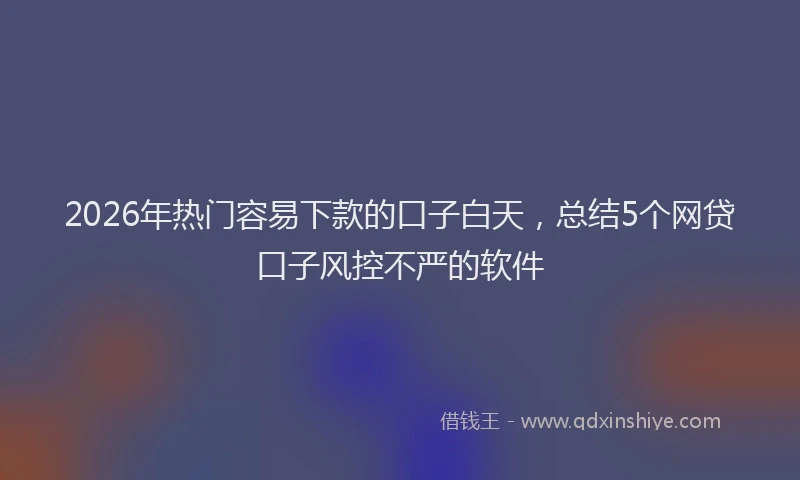 2026年热门容易下款的口子白天，总结5个网贷口子风控不严的软件