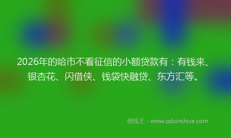 2026年的哈市不看征信的小额贷款有：有钱来、银杏花、闪借侠、钱袋快融贷、东方汇等。