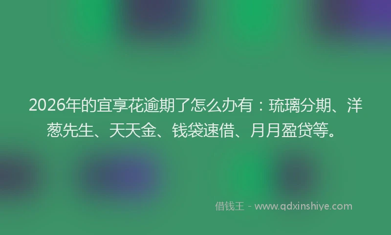 2026年的宜享花逾期了怎么办有：琉璃分期、洋葱先生、天天金、钱袋速借、月月盈贷等。