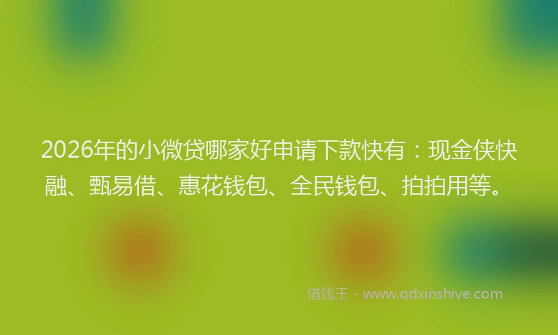 2026年的小微贷哪家好申请下款快有：现金侠快融、甄易借、惠花钱包、全民钱包、拍拍用等。