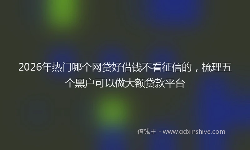 2026年热门哪个网贷好借钱不看征信的，梳理五个黑户可以做大额贷款平台
