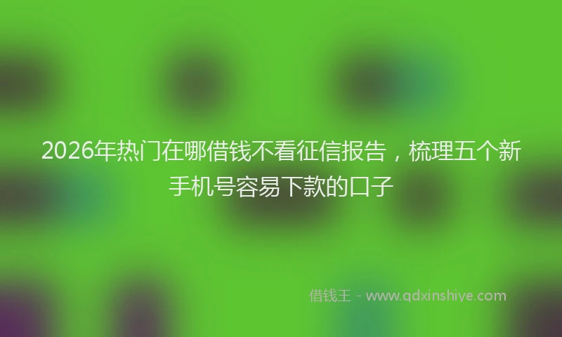 2026年热门在哪借钱不看征信报告，梳理五个新手机号容易下款的口子