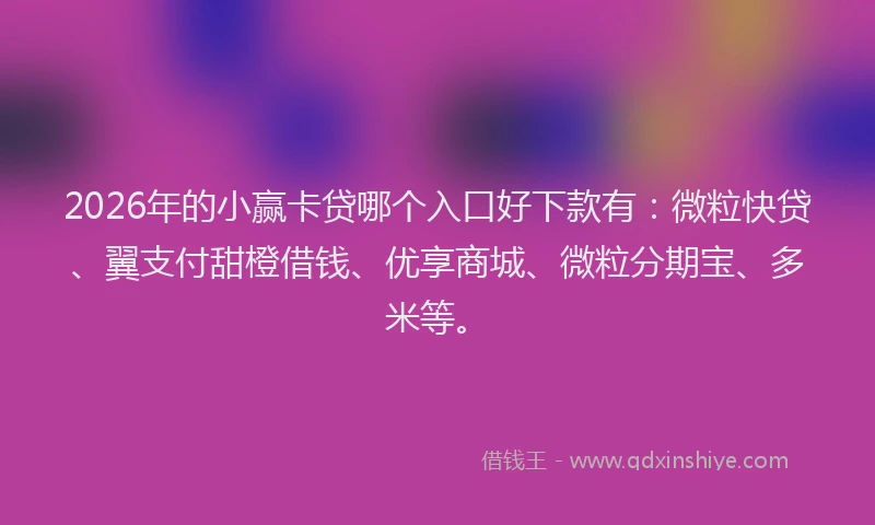2026年的小赢卡贷哪个入口好下款有：微粒快贷、翼支付甜橙借钱、优享商城、微粒分期宝、多米等。