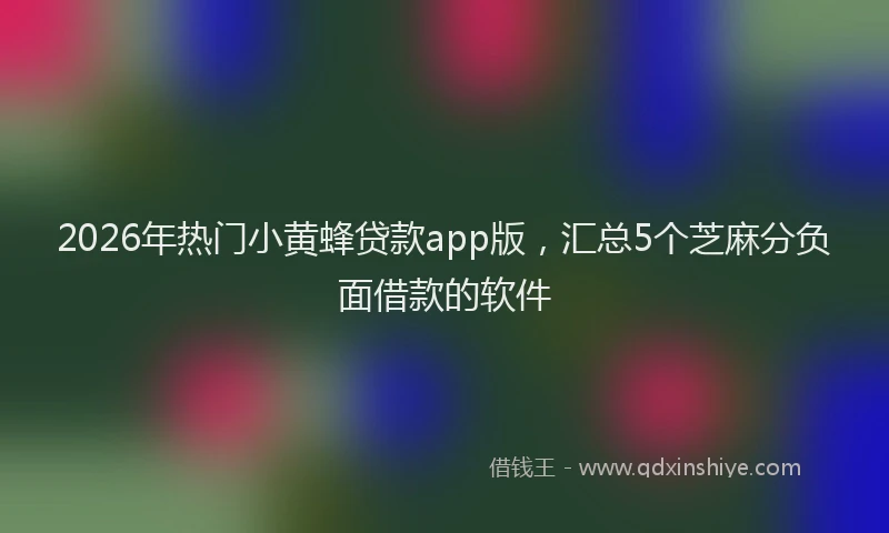 2026年热门小黄蜂贷款app版，汇总5个芝麻分负面借款的软件
