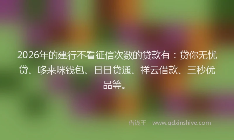 2026年的建行不看征信次数的贷款有：贷你无忧贷、哆来咪钱包、日日贷通、祥云借款、三秒优品等。