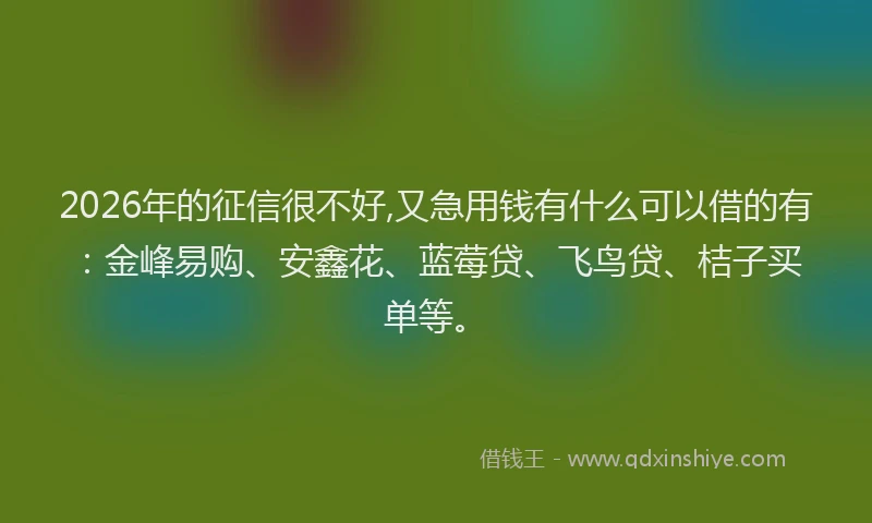 2026年的征信很不好,又急用钱有什么可以借的有:金峰易购、安鑫花、蓝莓贷、飞鸟贷、桔子买单等。