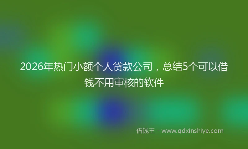 2026年热门小额个人贷款公司，总结5个可以借钱不用审核的软件