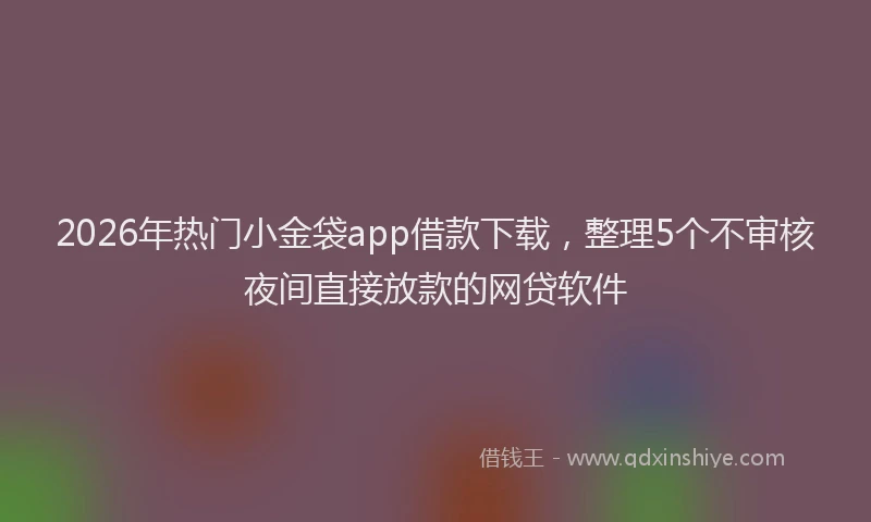 2026年热门小金袋app借款下载，整理5个不审核夜间直接放款的网贷软件