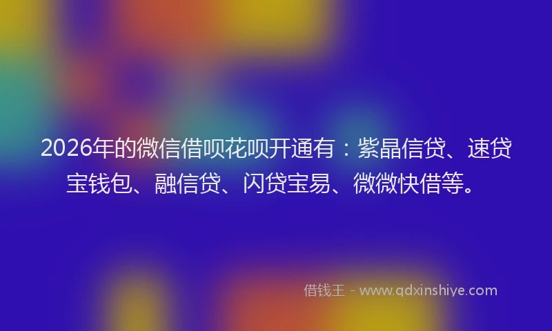 2026年的微信借呗花呗开通有:紫晶信贷、速贷宝钱包、融信贷、闪贷宝易、微微快借等。