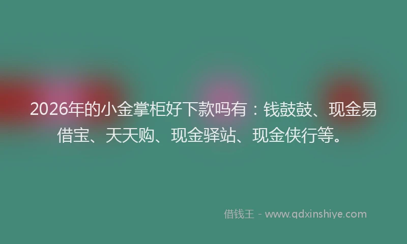 2026年的小金掌柜好下款吗有：钱鼓鼓、现金易借宝、天天购、现金驿站、现金侠行等。