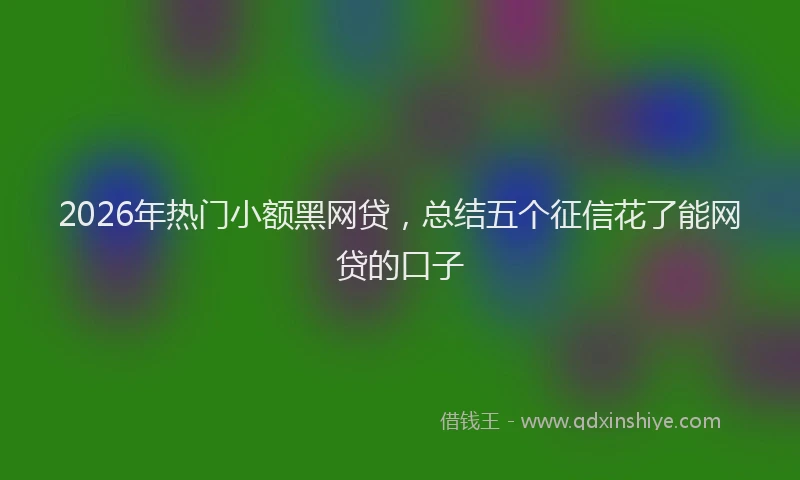 2026年热门小额黑网贷，总结五个征信花了能网贷的口子