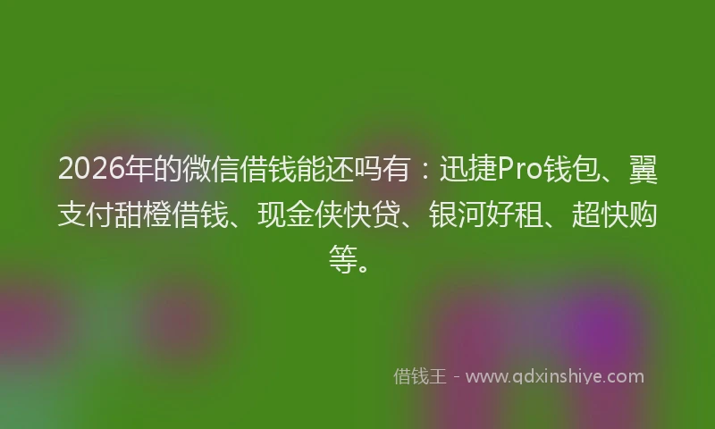 2026年的微信借钱能还吗有：迅捷Pro钱包、翼支付甜橙借钱、现金侠快贷、银河好租、超快购等。