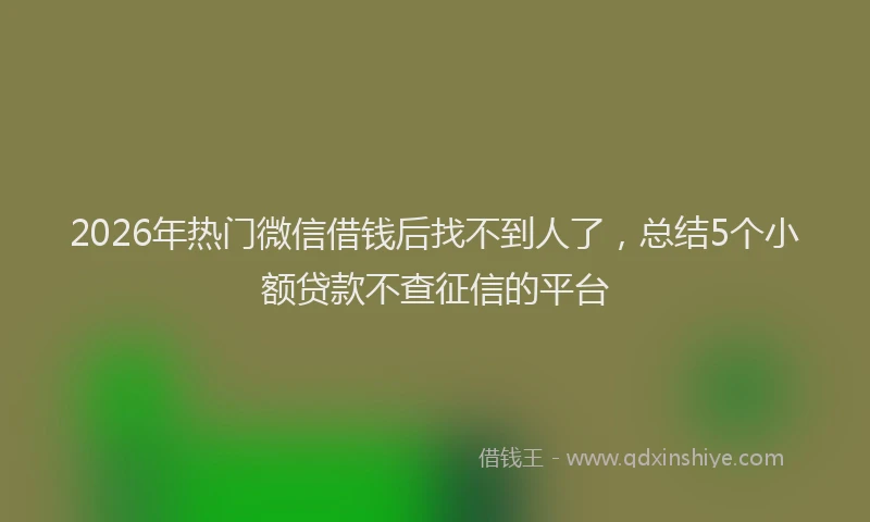 2026年热门微信借钱后找不到人了，总结5个小额贷款不查征信的平台