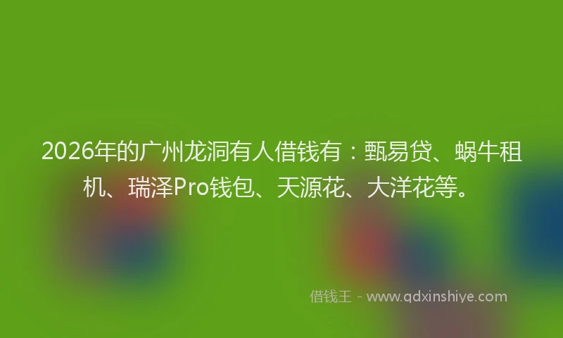 2026年的广州龙洞有人借钱有：甄易贷、蜗牛租机、瑞泽Pro钱包、天源花、大洋花等。