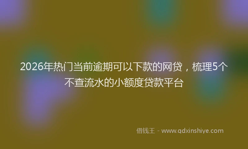 2026年热门当前逾期可以下款的网贷,梳理5个不查流水的小额度贷款平台