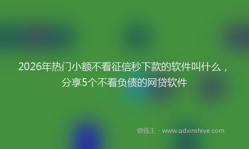 2026年热门小额不看征信秒下款的软件叫什么，分享5个不看负债的网贷软件