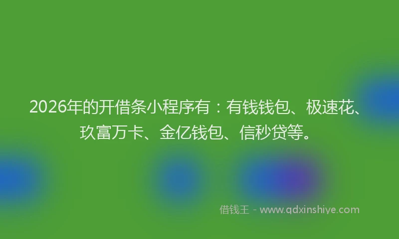 2026年的开借条小程序有:有钱钱包、极速花、玖富万卡、金亿钱包、信秒贷等。
