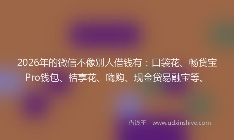 2026年的微信不像别人借钱有：口袋花、畅贷宝Pro钱包、桔享花、嗨购、现金贷易融宝等。