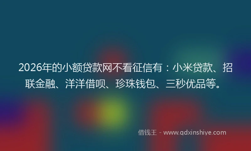 2026年的小额贷款网不看征信有：小米贷款、招联金融、洋洋借呗、珍珠钱包、三秒优品等。