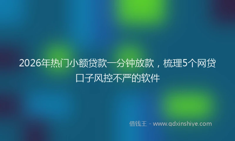 2026年热门小额贷款一分钟放款，梳理5个网贷口子风控不严的软件