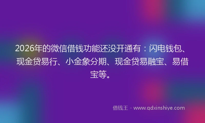 2026年的微信借钱功能还没开通有：闪电钱包、现金贷易行、小金象分期、现金贷易融宝、易借宝等。