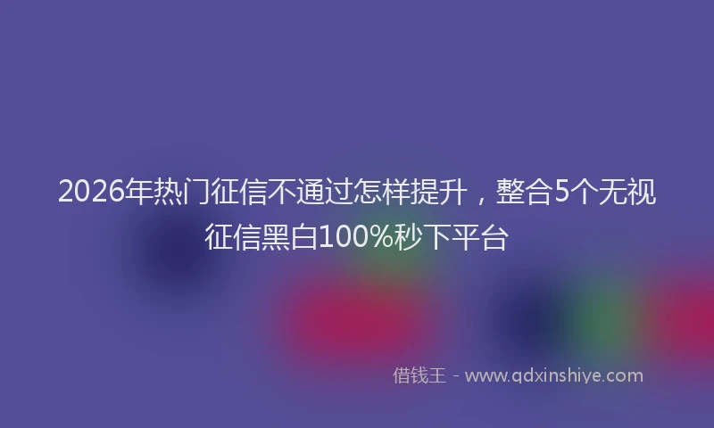 2026年热门征信不通过怎样提升，整合5个无视征信黑白100%秒下平台