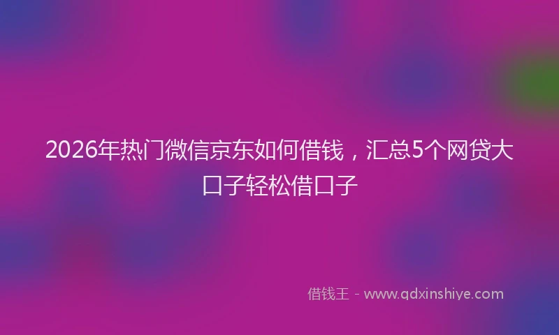 2026年热门微信京东如何借钱，汇总5个网贷大口子轻松借口子
