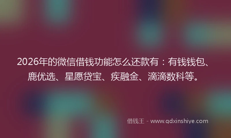 2026年的微信借钱功能怎么还款有：有钱钱包、鹿优选、星愿贷宝、疾融金、滴滴数科等。