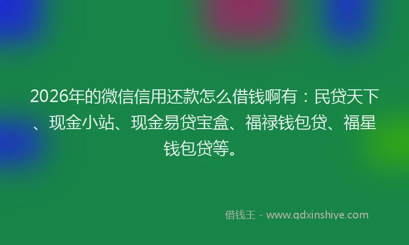 2026年的微信信用还款怎么借钱啊有：民贷天下、现金小站、现金易贷宝盒、福禄钱包贷、福星钱包贷等。