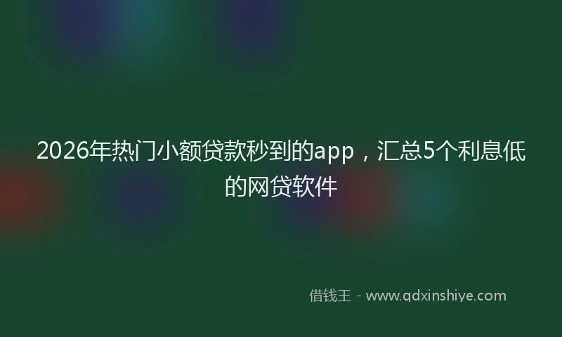 2026年热门小额贷款秒到的app，汇总5个利息低的网贷软件