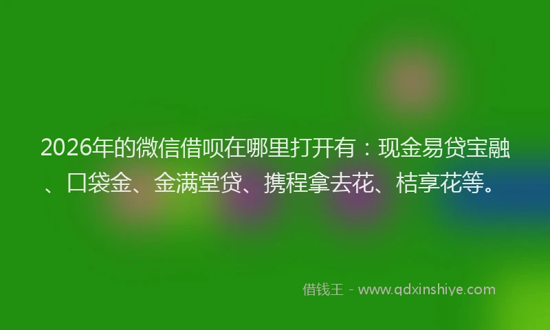 2026年的微信借呗在哪里打开有：现金易贷宝融、口袋金、金满堂贷、携程拿去花、桔享花等。