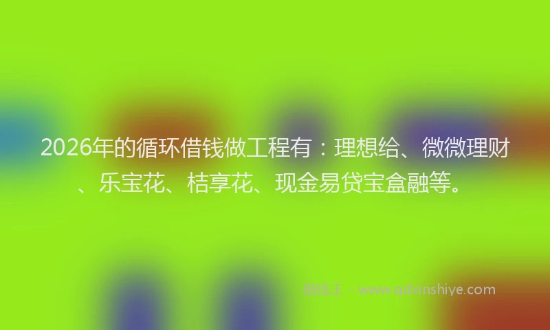 2026年的循环借钱做工程有：理想给、微微理财、乐宝花、桔享花、现金易贷宝盒融等。