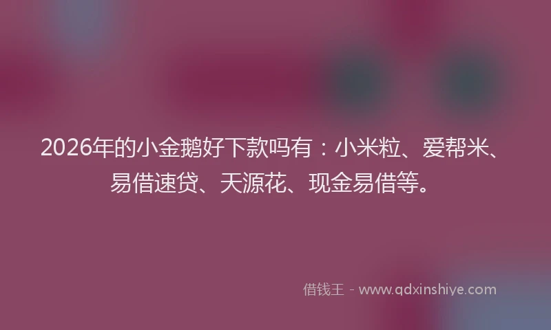 2026年的小金鹅好下款吗有：小米粒、爱帮米、易借速贷、天源花、现金易借等。