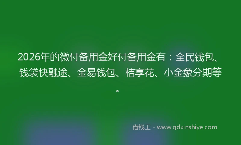 2026年的微付备用金好付备用金有：全民钱包、钱袋快融途、金易钱包、桔享花、小金象分期等。