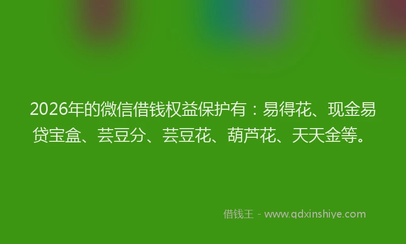 2026年的微信借钱权益保护有：易得花、现金易贷宝盒、芸豆分、芸豆花、葫芦花、天天金等。