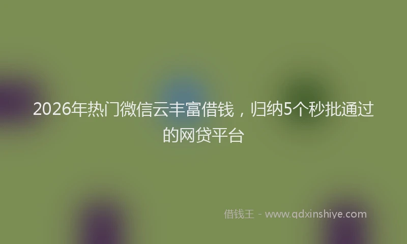2026年热门微信云丰富借钱，归纳5个秒批通过的网贷平台