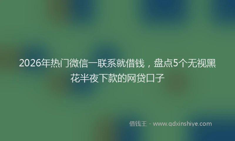 2026年热门微信一联系就借钱，盘点5个无视黑花半夜下款的网贷口子
