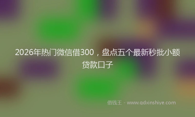 2026年热门微信借300，盘点五个最新秒批小额贷款口子