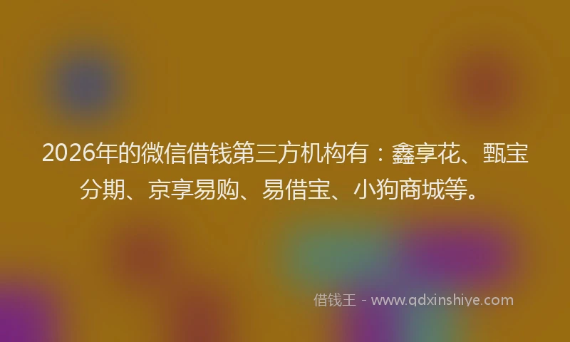 2026年的微信借钱第三方机构有：鑫享花、甄宝分期、京享易购、易借宝、小狗商城等。