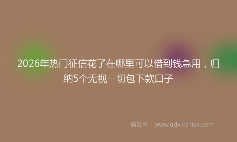 2026年热门征信花了在哪里可以借到钱急用，归纳5个无视一切包下款口子