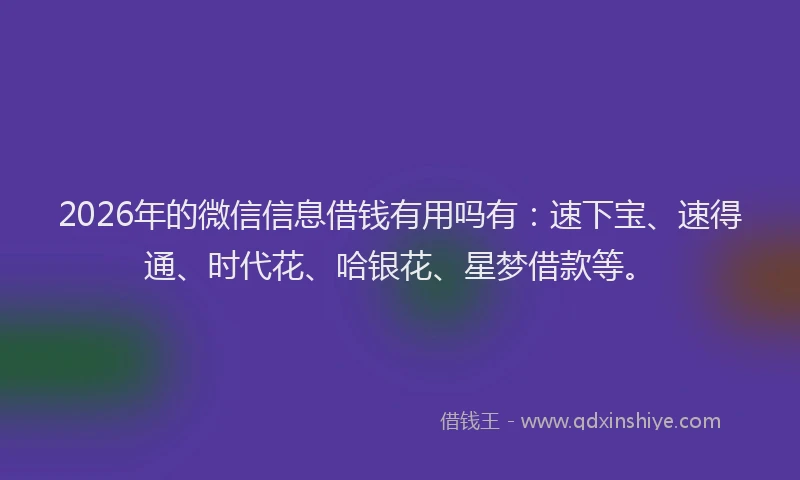 2026年的微信信息借钱有用吗有:速下宝、速得通、时代花、哈银花、星梦借款等。