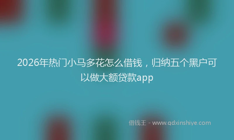 2026年热门小马多花怎么借钱,归纳五个黑户可以做大额贷款app